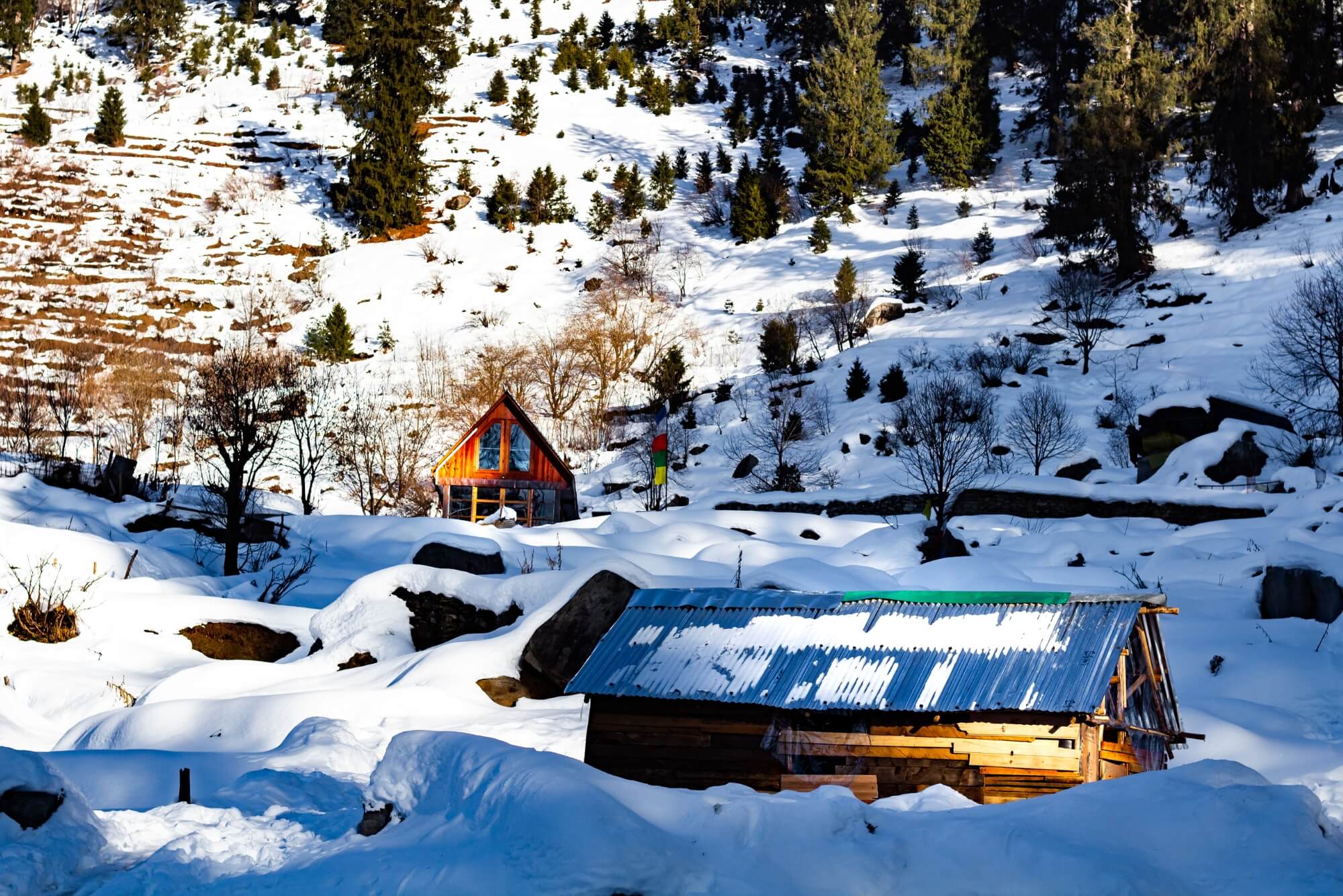 Shimla Manali Dharamshala Dalhousie Tour