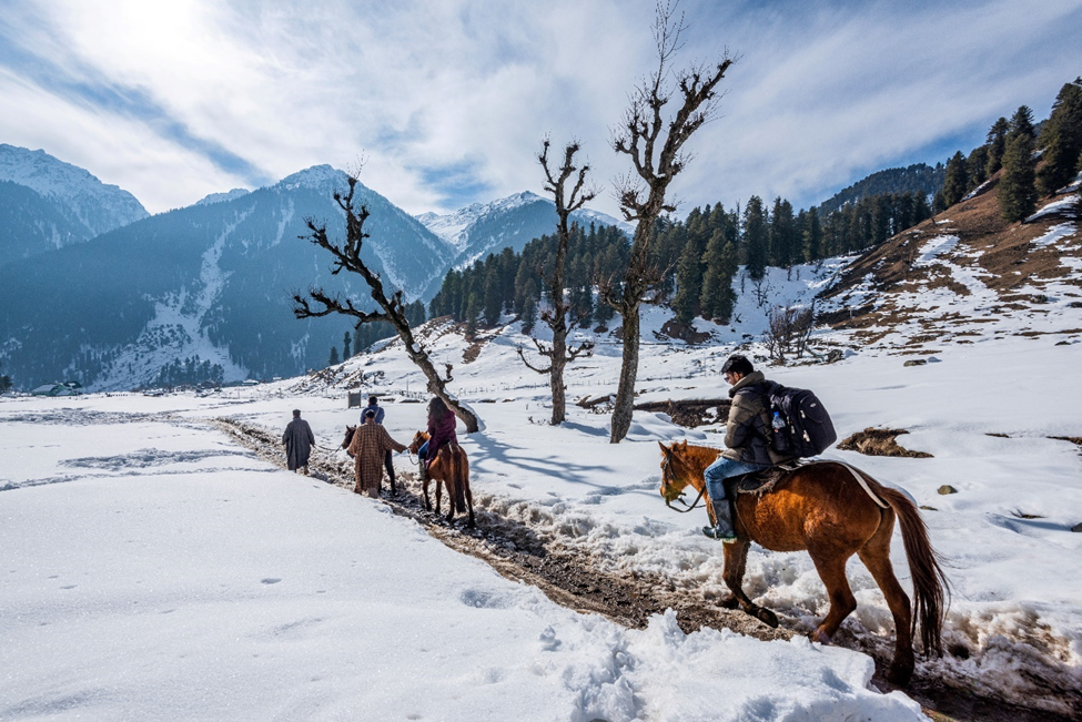 6 Days 5 Nights Jammu & Kashmir Tour Package