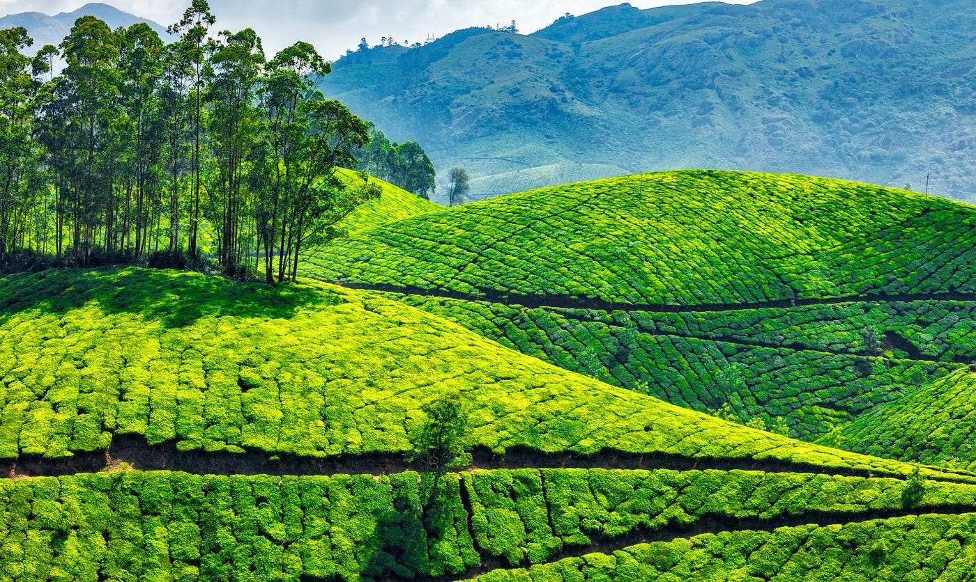 8 Days 7 Nights Kerala Tour Package