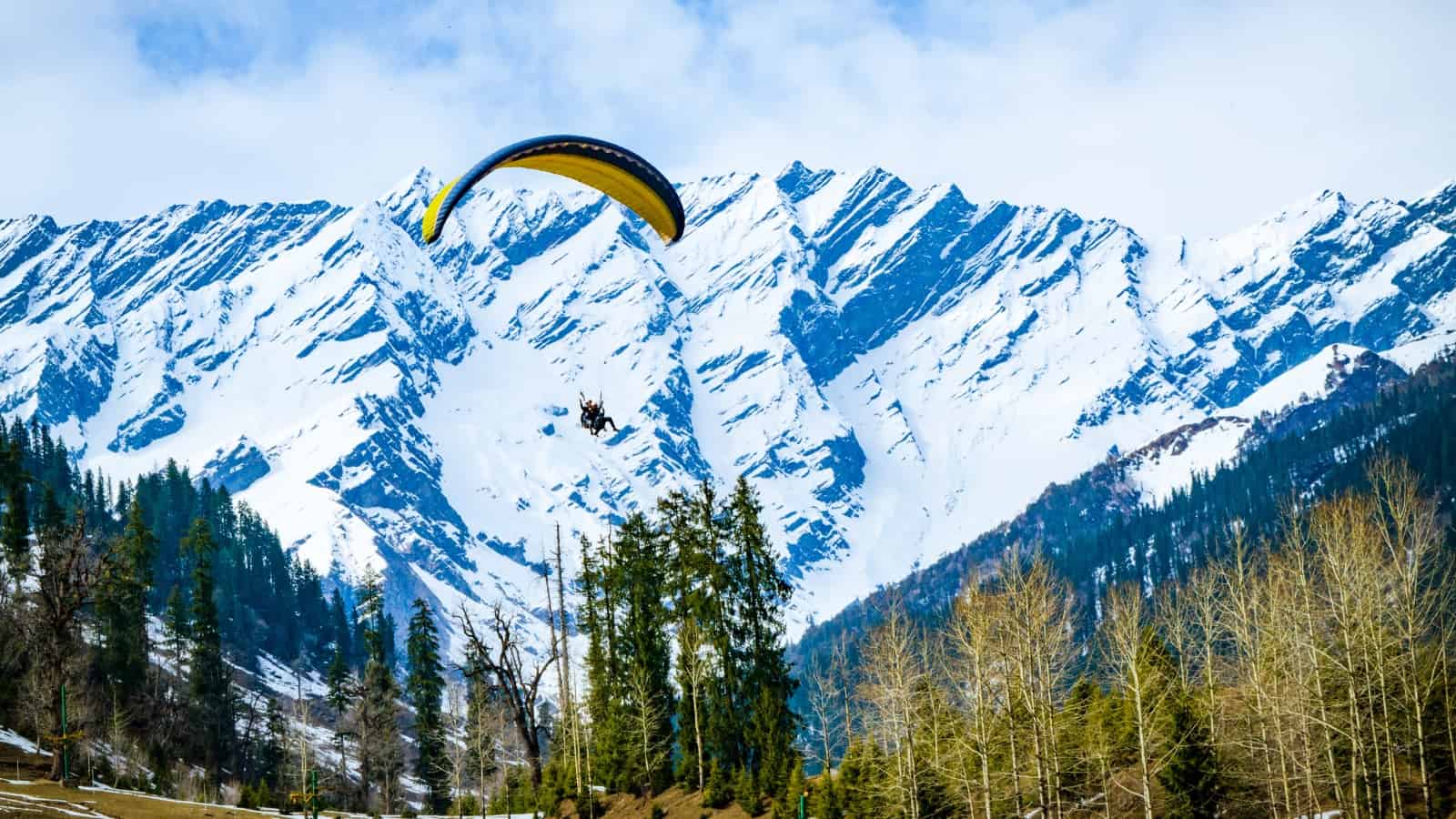Manali from Delhi Tour Package