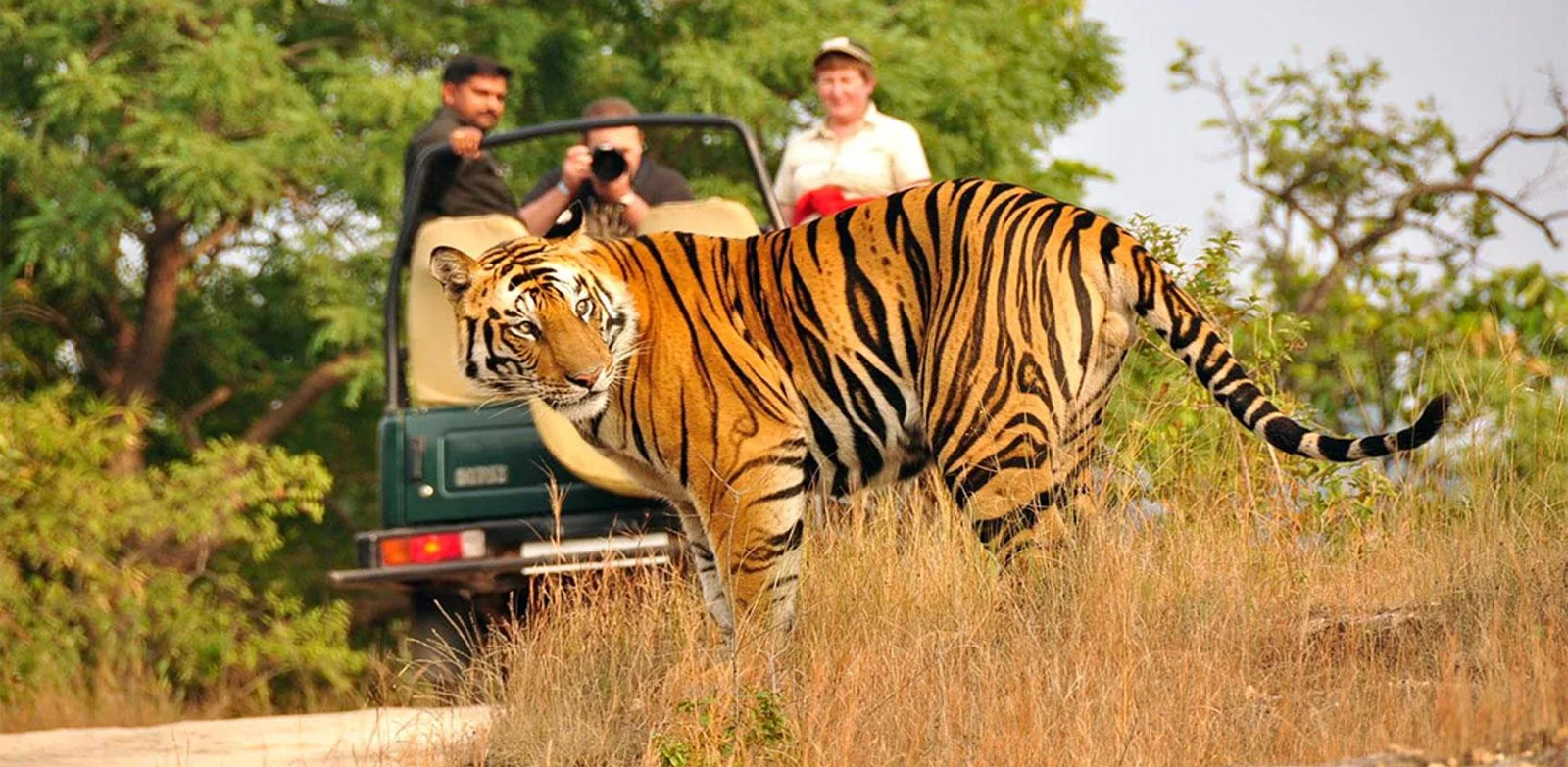 Nainital Kasouni Jim Corbett Tour Package